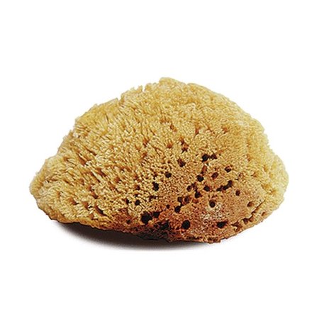 JACKS Jacks 10314 Natural Body Sponge - Large 10314